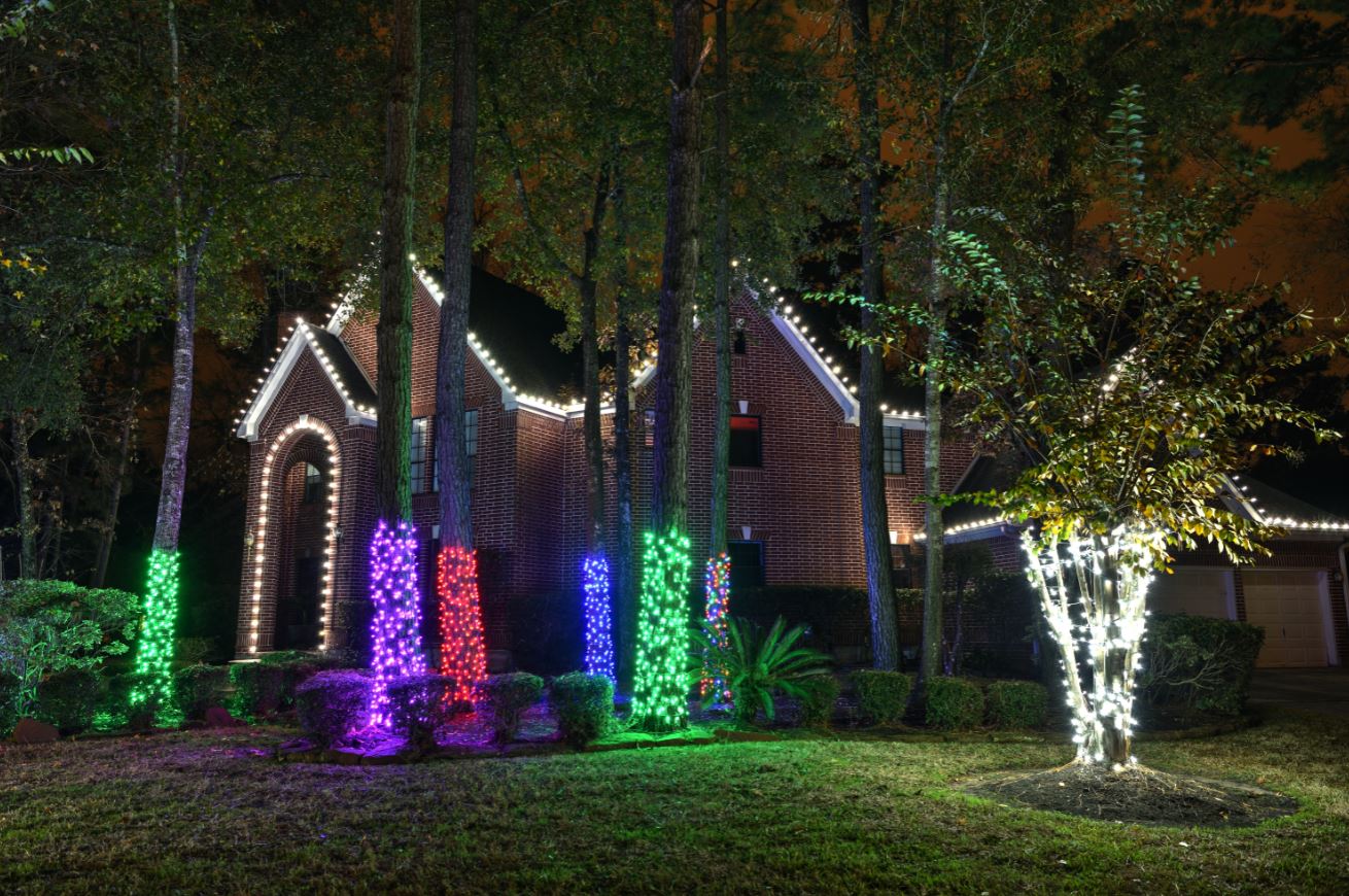 Tree wrapping – Christmas Lights