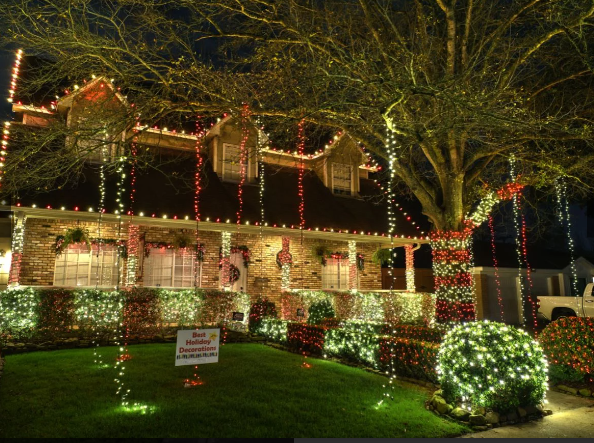 string lights wrapped around a tree and shrubs on a front lawn