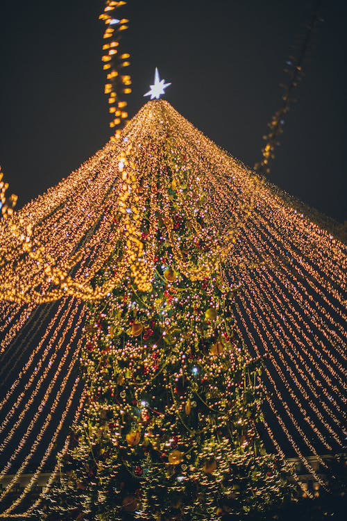 string lights around a Christmas tree