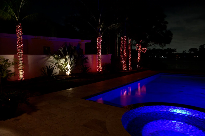 An image of trees illuminated near a pool 