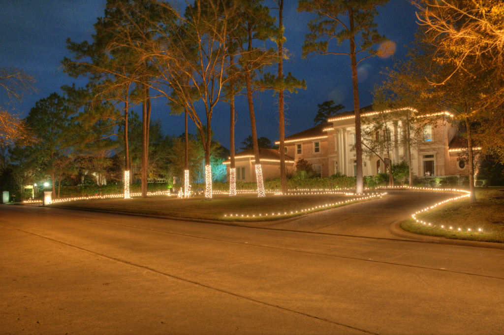 Professional landscape lighting installation illuminating a Houston home and garden at night.
