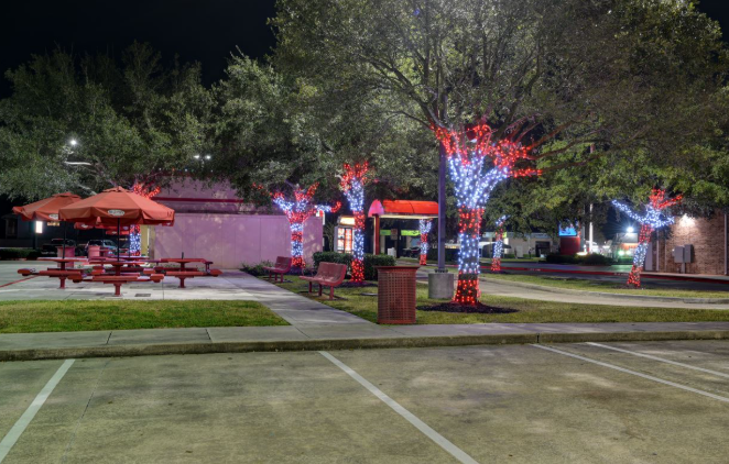 Exterior lighting highlighting pathways and architecture of a residential property in Houston.