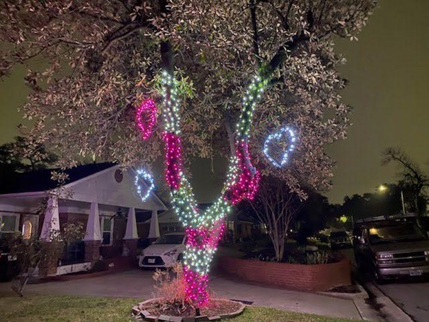 A tree with holiday lighting