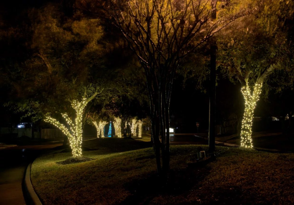 A quiet nighttime street lined with trees wrapped in warm white lights, glowing softly against the dark.
